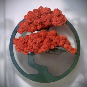 Kerek bonsai dekoráció piros izlandi zuzmóval