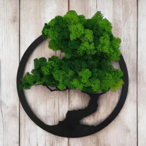 Bonsai fa